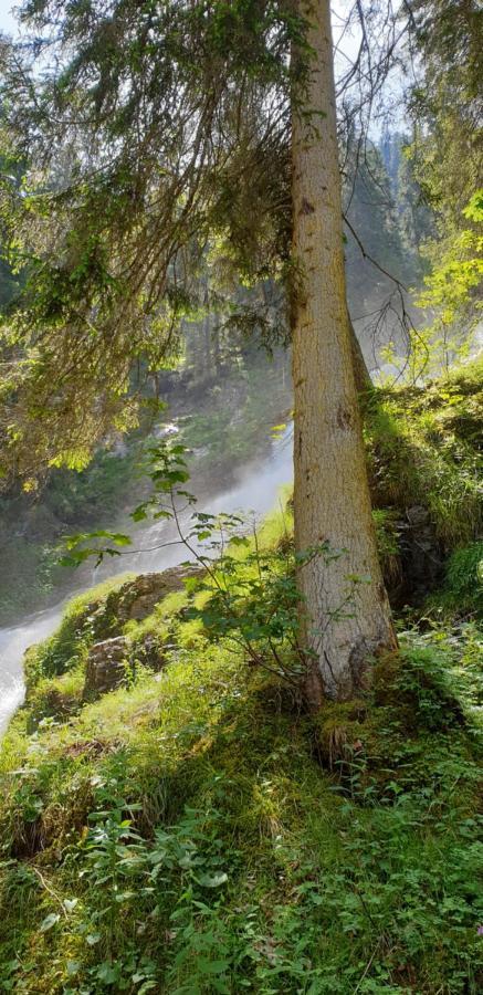 Wettermatte Villa Kiental Kültér fotó